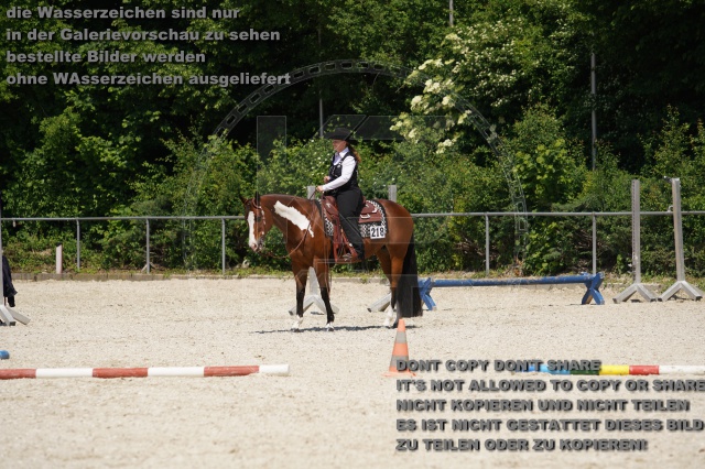 s_K3F02163.JPG